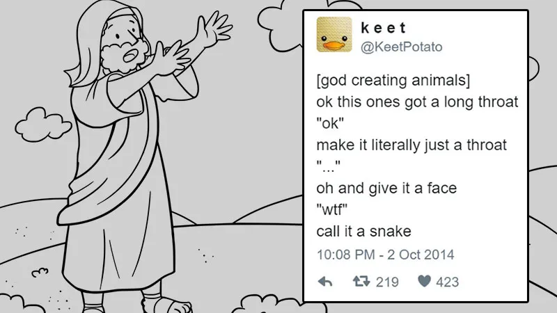 Twitter discussed how God created animals and it seems to make sense! -  Social Ketchup