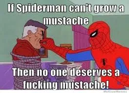 Spiderman Day