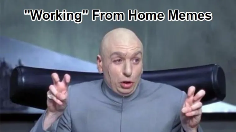 work from home memes